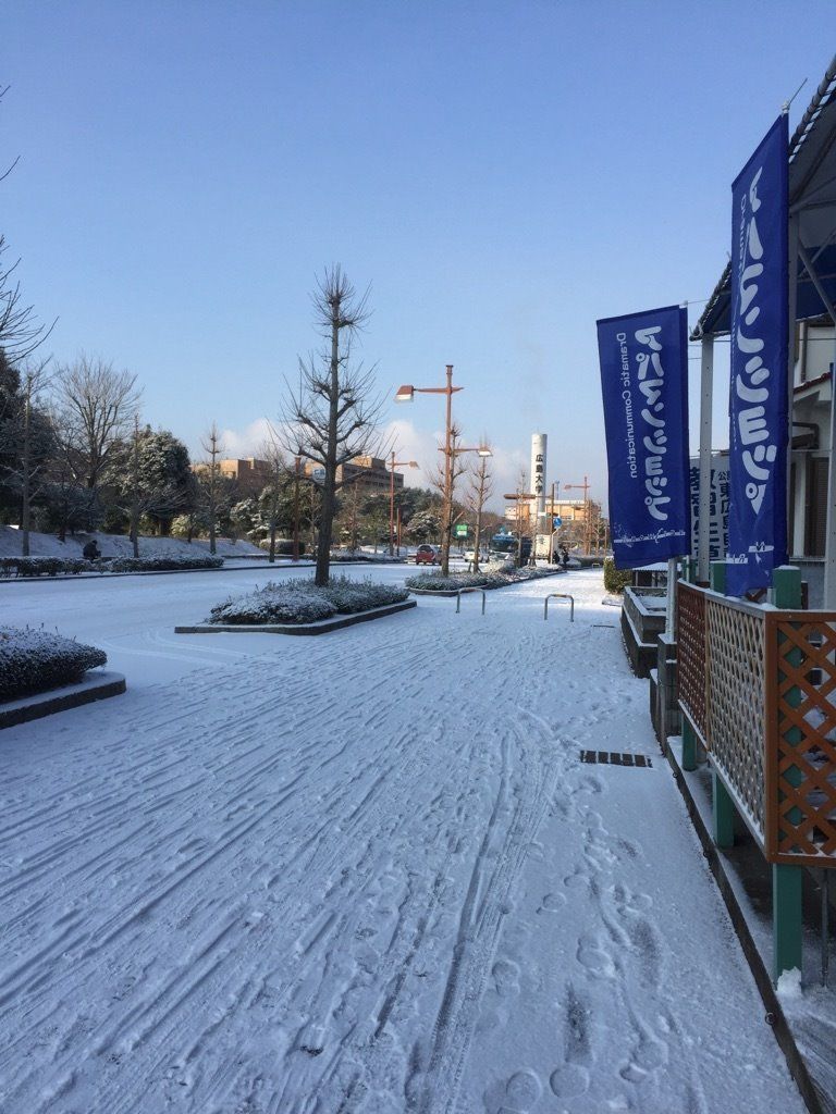 続・広島大学の雪事情