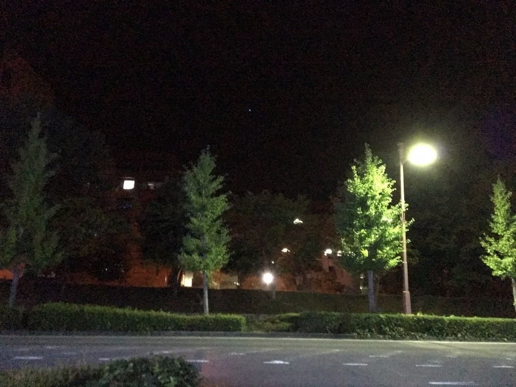 夜の広島大学